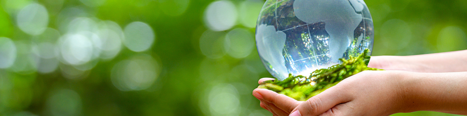 environmental protection
